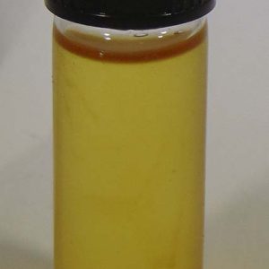Susinon Fragrance Oil